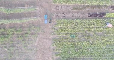 Alan üzerinde dijital simgeler ve veri işleme animasyonları. küresel dijital arayüz, veri işleme ve teknoloji konsepti dijital olarak oluşturulmuş video.