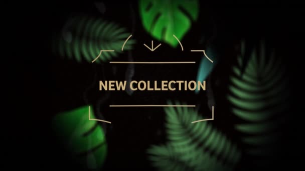 Animation Nouveau Texte Collection Sur Fond Noir Concept Interface Communication — Video