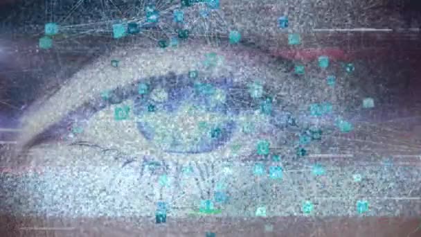Animacja Sieci Połączeń Przez Kobiece Oko Globalne Przetwarzanie Danych Technologia — Wideo stockowe
