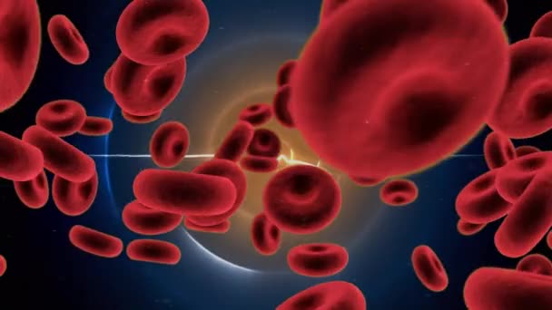 Kan Hücrelerinin Turuncu Mavi Daireler Üzerinde Canlandırılması Küresel Sağlık Ilaç — Stok video