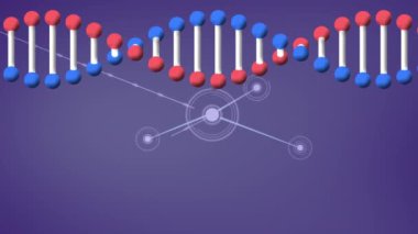 DNA iplikçiklerinin bağlantı ağı üzerinden animasyonu. küresel sosyal medya, bağlantılar ve dijital arayüz konsepti dijital olarak oluşturulmuş video.