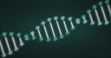 Siyah arka planda DNA iplikçiklerinin animasyonu. küresel tıp, sağlık ve teknoloji konsepti dijital olarak üretilen video.