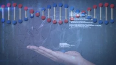DNA ipliği üzerindeki bağlantı ağının animasyonu. küresel dijital arayüz, teknoloji ve bağlantılar konsepti dijital olarak oluşturulmuş video.