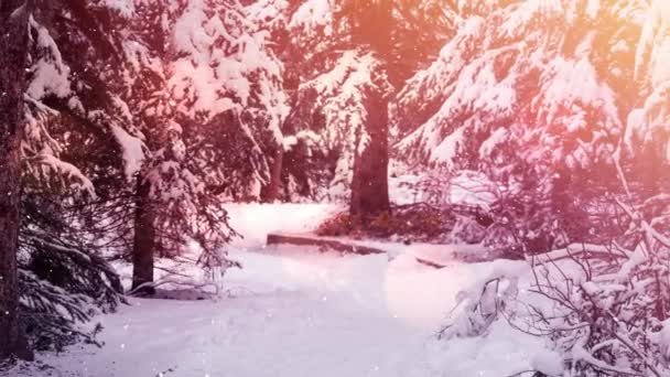 Animation Snow Falling Trees Forest Christmas Tradition Celebration Concept Digitally — Stock Video