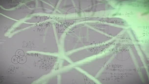 Animação Equações Matemáticas Sobre Neurônios Digitais Sobre Fundo Branco Educação — Vídeo de Stock