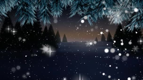 Animatie Van Sneeuw Die Het Winterlandschap Valt Kerstmis Traditie Viering — Stockvideo