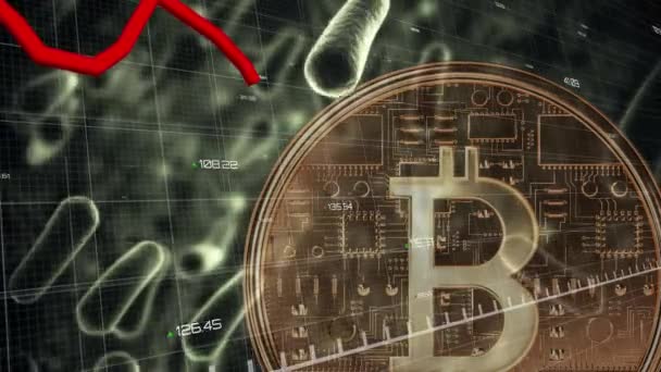 Animación Del Procesamiento Datos Financieros Con Línea Roja Sobre Bitcoin — Vídeos de Stock