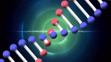 Mavi dairelerin üzerinde DNA iplikçiklerinin animasyonu. küresel sağlık, ilaç ve sağlık hizmetleri kavramı dijital olarak üretilen video.