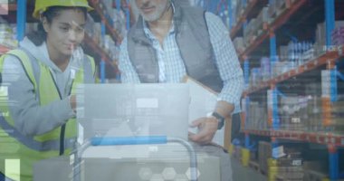 Depoda çalışan kadın ve erkeğin istatistik ve mali veri işleme animasyonları. küresel gönderim ve bağlantılar konsepti dijital olarak oluşturulmuş video.