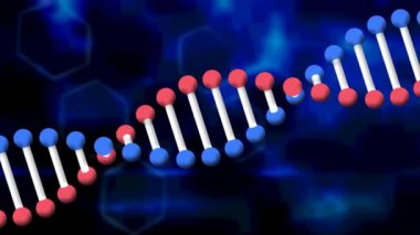 Siyah arka planda DNA iplikçiklerinin animasyonu. küresel iş, bağlantılar, veri işleme ve teknoloji konsepti dijital olarak oluşturulmuş video.
