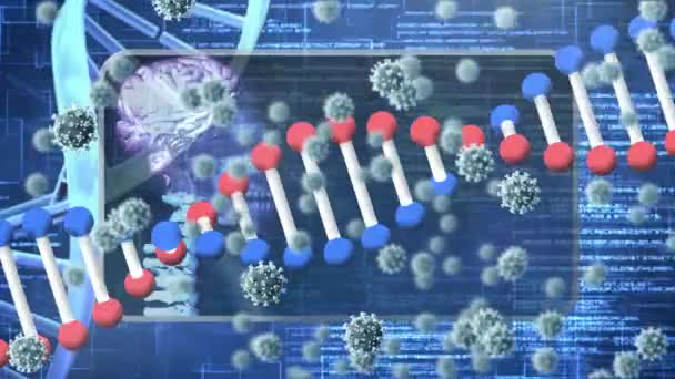 Анімація Коронавірусних Клітин Над Медичними Піктограмами Глобальна Концепція Пандемії Ковадла — стокове відео