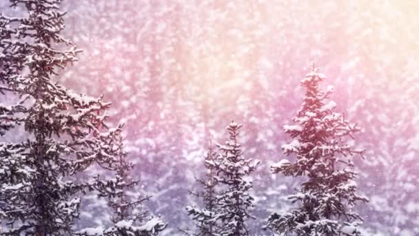 Animace Zimní Scenérie Přes Zářící Rozmazaná Světla Vánoční Tradiční Slavnostní — Stock video