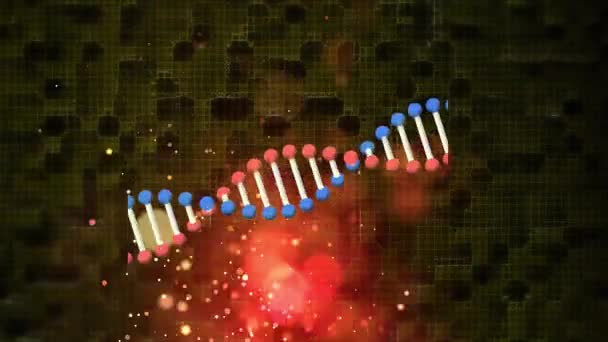 Animation Rotating Dna Strand Red Bokeh Lights Glowing Particles Dark — Stock Video