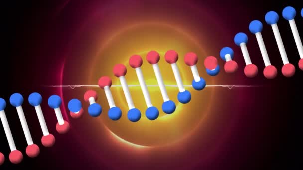 Animazione Del Filamento Del Dna Cerchi Rossi Arancioni Concetto Globale — Video Stock