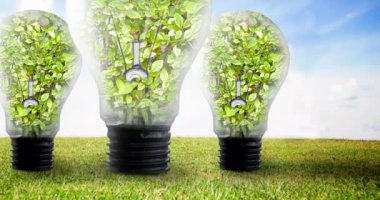 Mavi gökyüzü ve çimenlerin üzerinde bitkilerle dolu ampullerin animasyonu. küresel koruma ve yeşil farkındalık kavramı dijital olarak oluşturulmuş video.