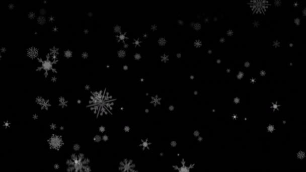 Animación Texto Aleta Sobre Copos Nieve Blancos Que Caen Sobre — Vídeo de stock