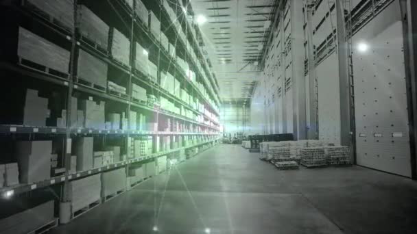 倉庫内の棚上の接続のネットワークのアニメーション 世界的な出荷と接続の概念デジタル生成されたビデオ — ストック動画
