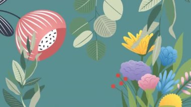 Renkli çiçeklerin ve gri arka planda yeşil yaprakların animasyonu. Doğa, değişim ve bahar arkaplan kavramı dijital olarak oluşturulmuş video.