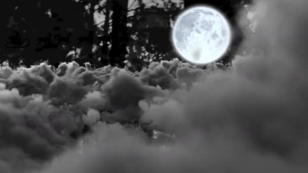 雪橇上的桑塔爪与驯鹿在云彩和月亮之上的动画 圣诞节 传统和庆祝概念数字制作的视频 — 图库视频影像