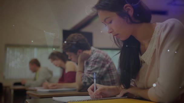 Animatie Van Het Netwerk Van Verbindingen Studenten Leren Mondiaal Onderwijs — Stockvideo