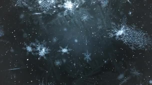 Animation Flocons Neige Tombant Sur Fond Bleu Noël Tradition Concept — Video