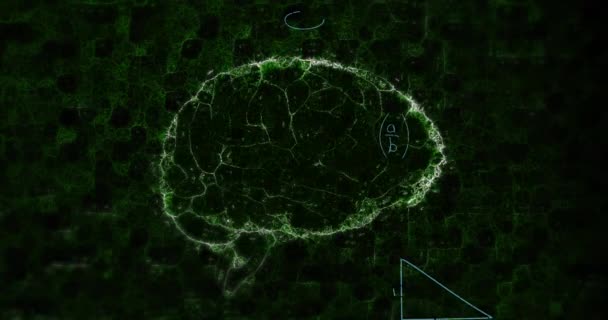 Animación Ecuaciones Matemáticas Sobre Modelo Digital Del Cerebro Humano Sobre — Vídeos de Stock