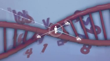Beyaz zemin üzerinde DNA ipliği üzerinde bağlantılar ve veri işleme ağlarının animasyonu. küresel sosyal medya, bağlantılar ve dijital arayüz konsepti dijital olarak oluşturulmuş video.