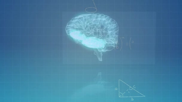 Animação Equações Matemáticas Sobre Modelo Digital Cérebro Humano Sobre Fundo — Vídeo de Stock