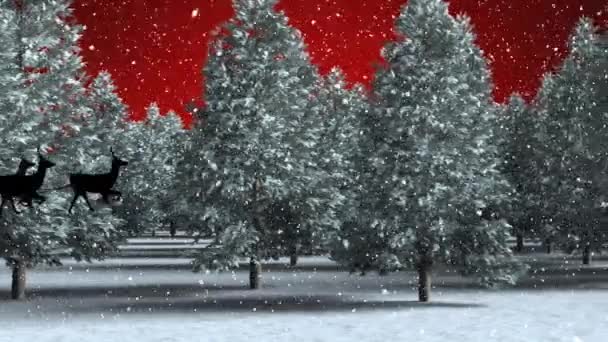 Animation Von Schnee Der Über Bäume Auf Rotem Hintergrund Fällt — Stockvideo