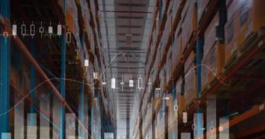 Boş bir depoda veri işleme animasyonu. küresel sevkiyat, dağıtım ve bağlantılar konsepti dijital olarak oluşturulmuş video.