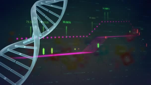 Анімація Ланцюга Dna Над Цифровим Інтерфейсом Обробкою Даних Глобальні Соціальні — стокове відео