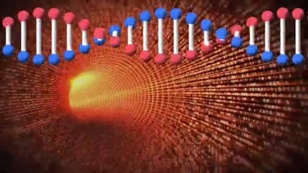 Animazione Del Filamento Del Dna Tunnel Digitale Concetto Globale Sanità — Video Stock