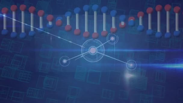 Animatie Van Dna Streng Netwerk Van Verbindingen Mondiaal Concept Voor — Stockvideo