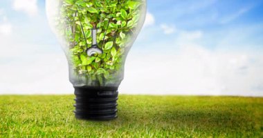 Mavi gökyüzü ve çimenler üzerinde bitkilerle dolu ampulün animasyonu. küresel koruma ve yeşil farkındalık kavramı dijital olarak oluşturulmuş video.