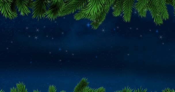 Köknar Ağacı Dallarıyla Yağan Kar Animasyonu Yıldızlar Gece Gökyüzü Üzerine — Stok video