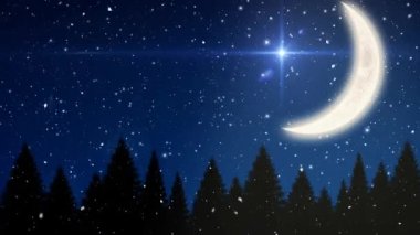 Ay 'ın üzerine yağan karın, yıldızların ve köknar ağaçlarının kış manzarasında canlandırması. Noel, gelenek ve kutlama konsepti dijital olarak oluşturuldu.