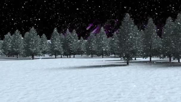 雪落在多棵树上 映衬着黑色背景的紫光小径 圣诞节的庆祝和庆祝概念 — 图库视频影像