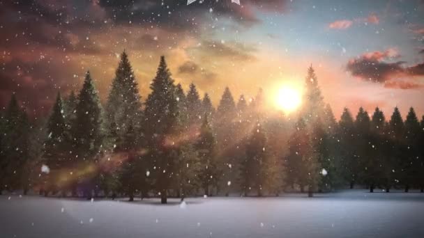 Animation Winter Scenery Fir Trees Christmas Winter Tradition Celebration Concept — Stock Video