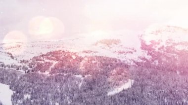 Kış manzarasında birden fazla ağacın üzerine düşen kara karşı ışık noktaları. Noel şenliği ve kutlama konsepti