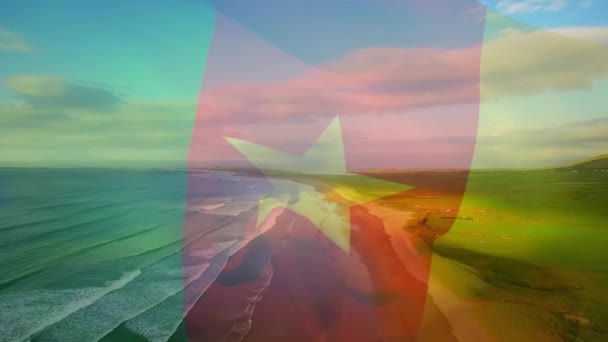 Animation Flag Cameroon Blowing Seascape Travel Holidays Patriotism Celebration Concept — Stock Video