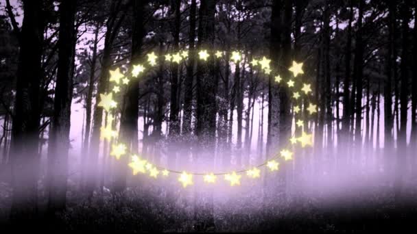 Žlutá Zářící Hvězda Tvaru Vílí Světla Proti Několika Stromům Lese — Stock video