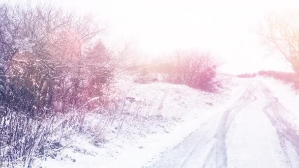 Animación Nieve Cayendo Luces Puntuales Sobre Paisaje Invernal Navidad Invierno — Vídeo de stock