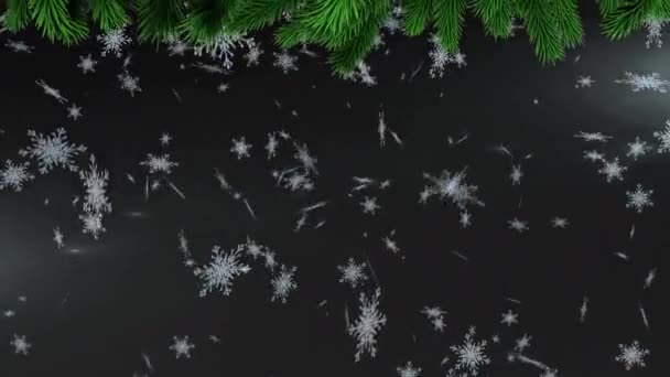 Animación Las Ramas Del Árbol Navidad Sobre Nieve Que Cae — Vídeo de stock