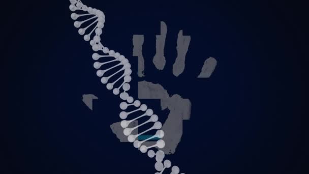 Animazione Dell Elaborazione Dei Dati Filamento Del Dna Impronta Biometrica — Video Stock