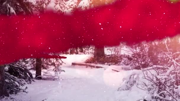 Kış Ormanı Boyunca Kırmızı Yeşil Toz Kar Yağışının Animasyonu Noel — Stok video