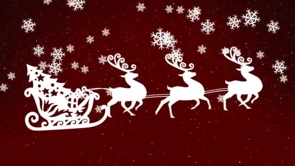 赤い背景に降る雪の上にトナカイと一緒にそりでサンタクラスのアニメーション クリスマス お祝いのコンセプトをデジタルで — ストック動画
