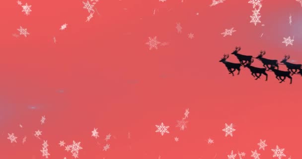 Animation Des Weihnachtsmannes Schlitten Mit Rentieren Über Schnee Der Auf — Stockvideo