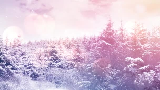 在冬季的风景中 几片光柱挡住了飘落在多棵树上的积雪 圣诞节的庆祝和庆祝概念 — 图库视频影像