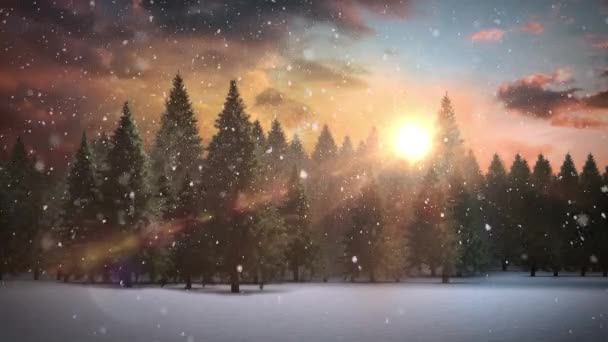 Hullik Fák Felett Téli Tájon Ragyogó Nap Ellen Égen Karácsonyi — Stock videók