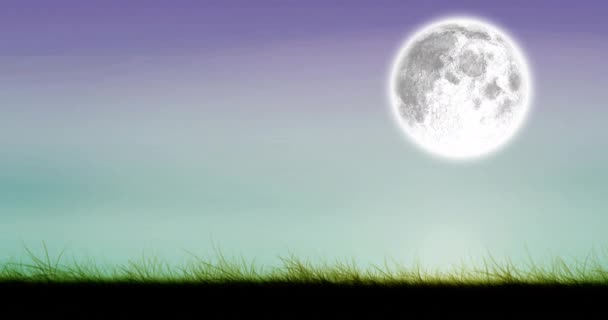 Animación Luna Llena Cielo Nocturno Naturaleza Noche Tranquilidad Concepto Vídeo — Vídeos de Stock